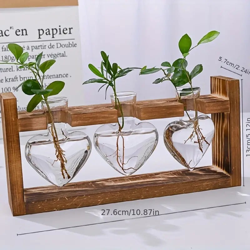 Hydroponic Plant Terrarium Love Heart Vase With Wooden Stand