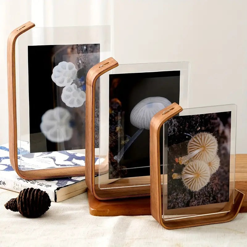 Double-sided Frame For Tabletop Display