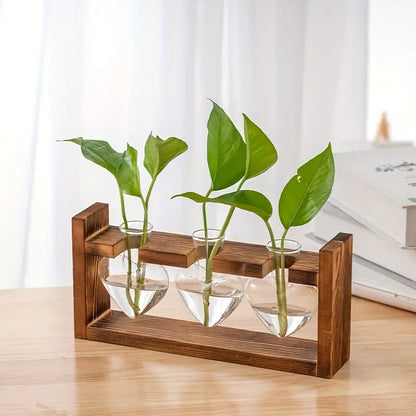 Hydroponic Plant Terrarium Love Heart Vase With Wooden Stand